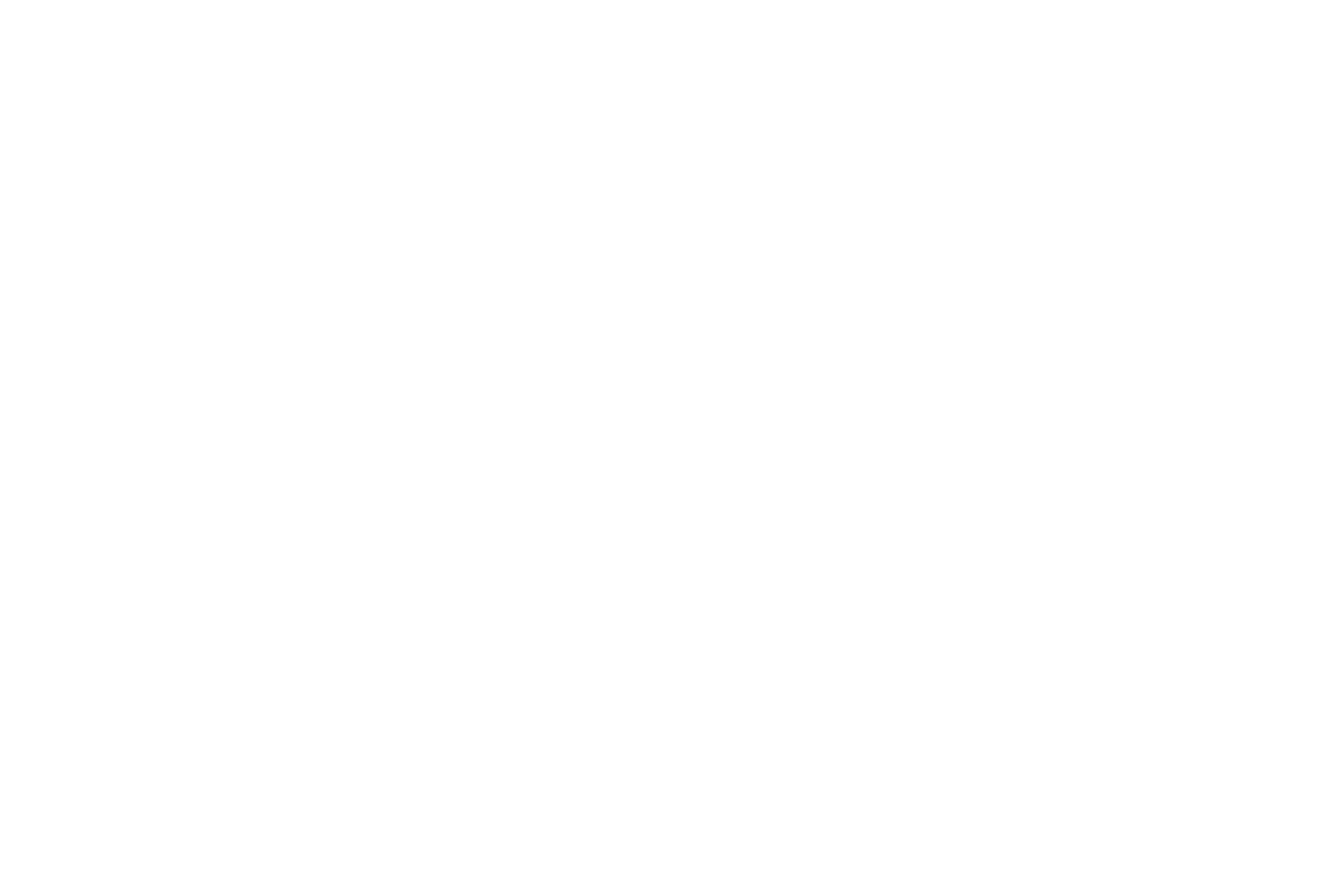 font – basiq design agency, trieste