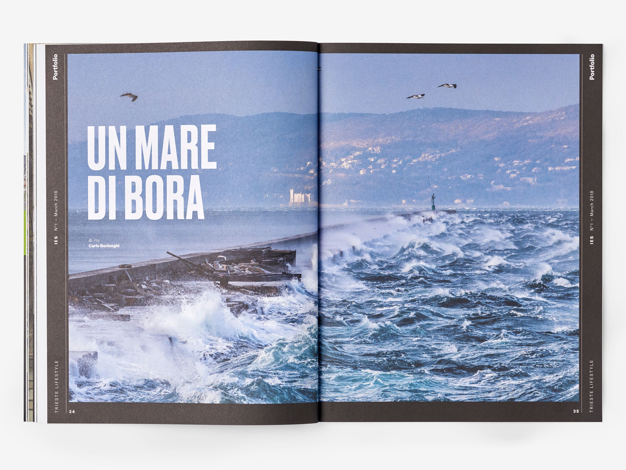 magazine – basiq design agency, trieste